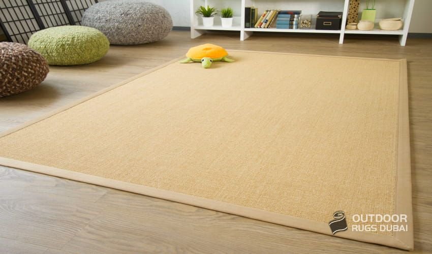 Purpose of Buying Rug