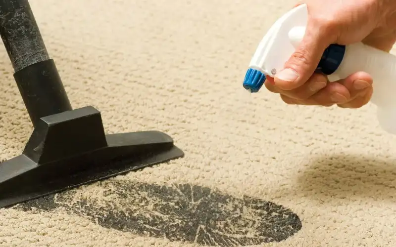 Surface Clean Spills and Stains