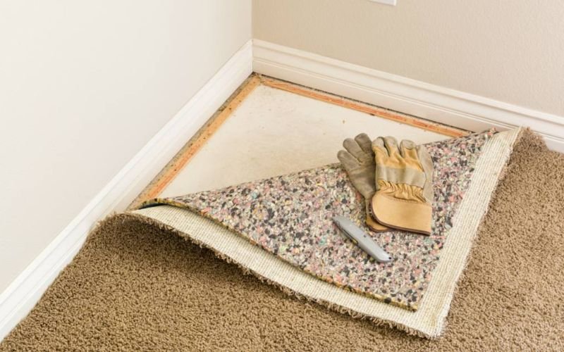 mold carpets
