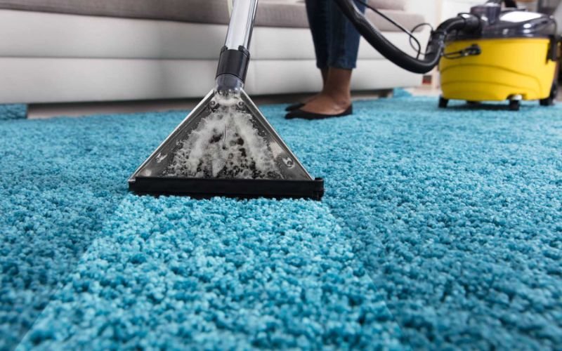 professional carpet cleaner