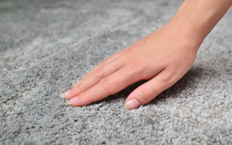remove mold from carpet