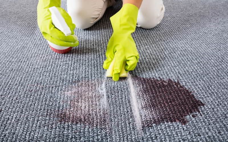 Apply Borax Powder to Remove Pet Hair From Carpet