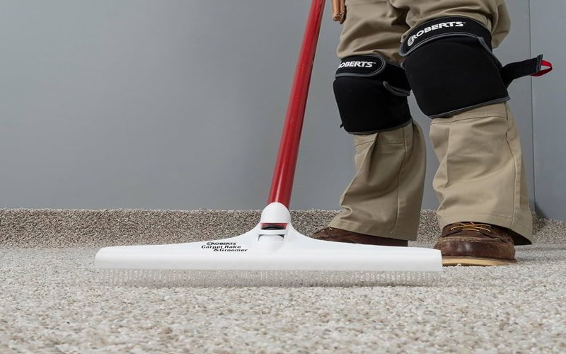 Attach Carpet Rakes to Shoes Remove Pet Hair From Carpet