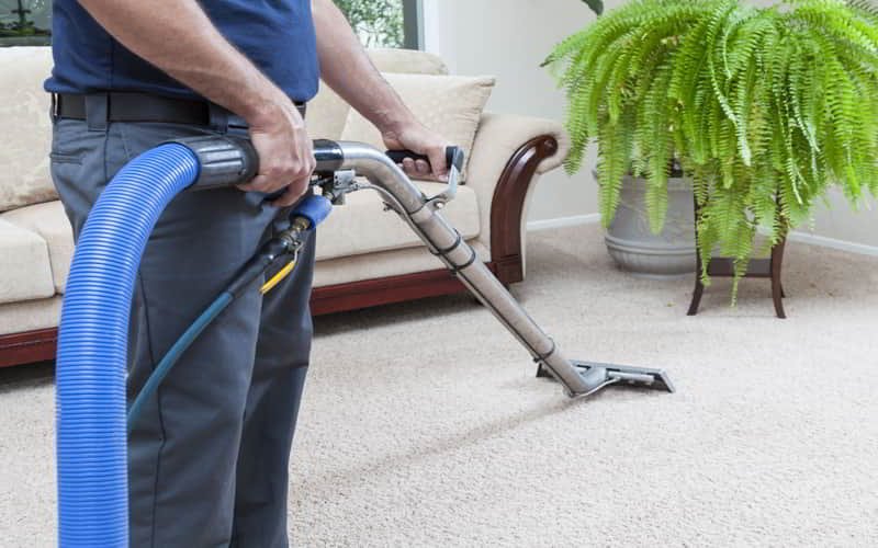 Call the Professionals to Remove Pet Hair From Carpet