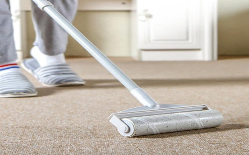 Lint Roll the Surface to Remove Pet Hair From Carpet
