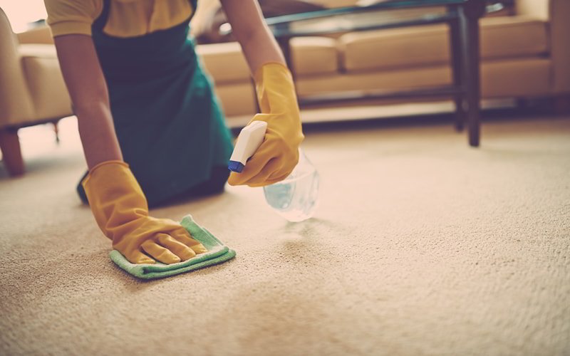 Spot Clean with Cleaning Solution to Remove Pet Hair From Carpet