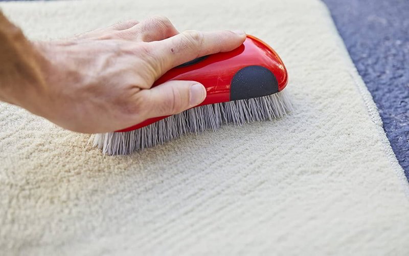 Use a Rubber Brush or Grooming Glove to Remove Pet Hair From Carpet