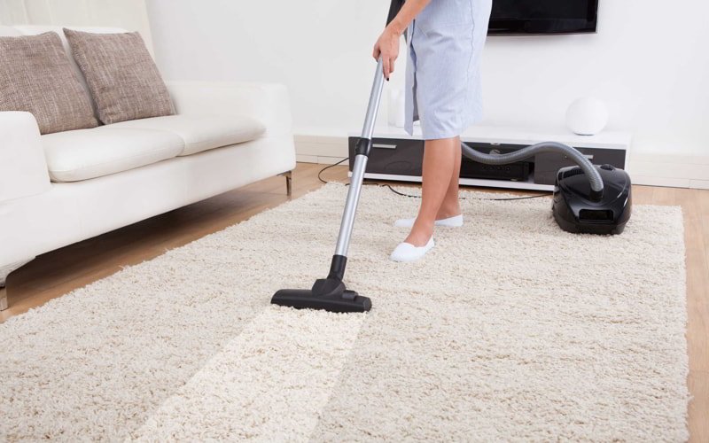 Vacuum Frequently Remove Pet Hair From Carpet