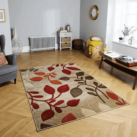 2x4 Outdoor Rugs